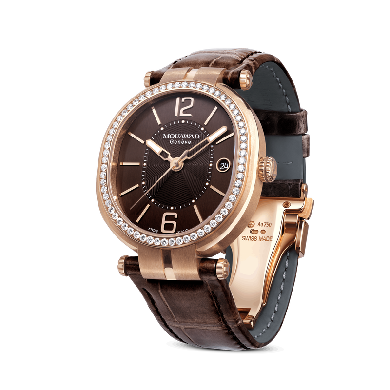 La Grande Ellipse Lady in Brown
